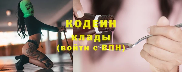 дживик Осташков