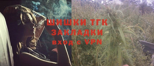 прущая мука Няндома