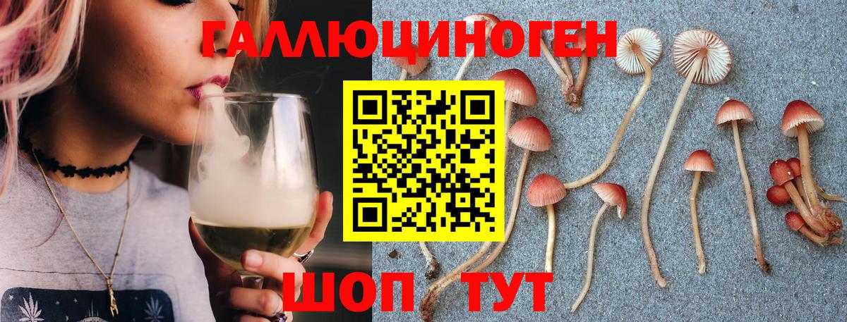 Прохладный  Галлюциногенные грибы Cubensis  Вход с VPN 