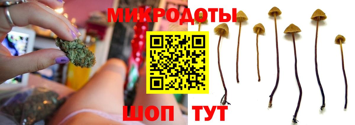 Псилоцибиновые грибы мухоморы  где купить наркоту  Прохладный 